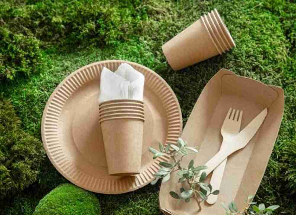 ظروف یکبار مصرف گیاهی قابل خوردن برای سرو دسر و خوراکی